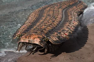 1024px-Arthropleura_Reconstruction