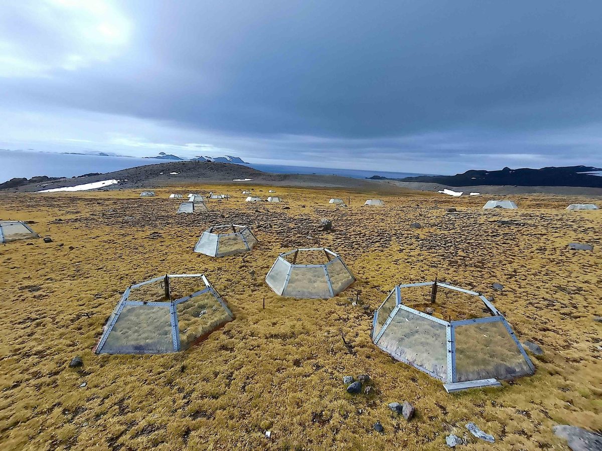 Open Top Chambers in Antarctica