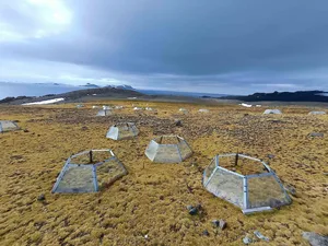 Open Top Chambers in Antarctica Open Top Chambers in Antarctica