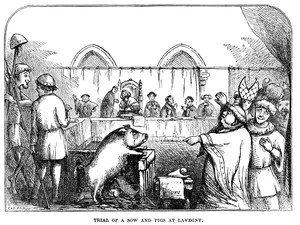 Pigs on Trial for Murder, 15th Century French History In 1457 France, a sow and her piglets were tried for murder after the sow partially ate a child, who later died. The sow was found guilty and executed, but her piglets were found not guilty due to their young age. Illustration published 1863.