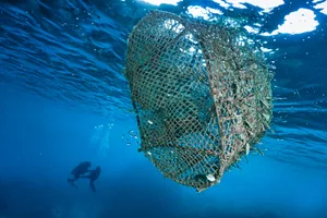 Abandoned Ghost Net fish aggregating device polluting the ocean near scuba divers A discarded fishing creel or trap is polluting this otherwise clear ocean. Trapped within are squid eggs and small creatures. This represents the massive environmental disaster that is Global Ocean Pollution and ‘Ghost Nets’. Ghost nets or Ghost Gear is one of the largest threats to our ocean ecosystems responsible for the deaths of huge amounts of Marine Life through entanglement and consumption. Nearby two scuba divers are swimming beneath the water’s surface. Location is Ko Haa, Andaman Sea, Krabi province, Thailand.