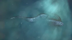 giant oarfish, beautiful Regalecus glesne so called king of herrings source of sea serpent sightings, 3d illustration Giant oarfish