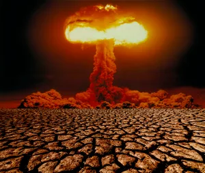 Could any animals survive a nuclear explos Could any animals survive a nuclear explosion