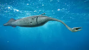Tullimonstrum, Tully Monster swimming in the ocean, the State Fossil of Illinois paleoart illustration showing an extinct Tullimonstrum creature