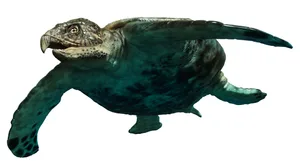 Archelon Archelon