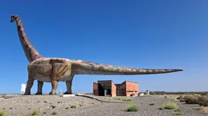 Patagotitan mayorum Dinosaur Trelew, Argentina, February 01, 2025: A replica of a Patagotitan mayorum dinosaur is located at the entrance to the city. This species, discovered in the region, is considered the largest in the world