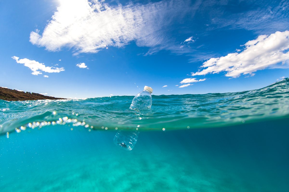 When marine scientists found a plastic bottle floating in the ocean, they were shocked to see this large creature living inside, unable to escape… | Discover Wildlife
