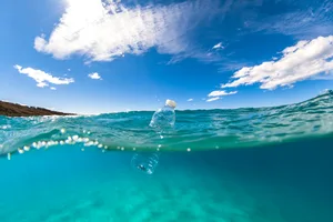 Floating plastic bottle on ocean surface A single use plastic bottle floats in the clear blue ocean as a result of human pollution and lack of education. Perfect for ocean conservation theme. (This bottle was collected and taken out of the ocean)