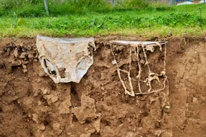 Decomposing cotton underwear A pair of cotton underwear—one slightly decomposed and one heavily decomposed—in front of the ground profile of a meadow