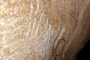 Stefou Pothole bear scratch marks Stefou Pothole bear scratch marks
