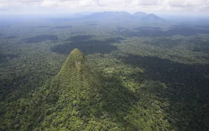 Cerro El Cono