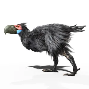 Terror Bird On White Background Illustration of a Gastornis on a white background.