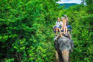 group of tourists in thailand riding elephants through jungle group of tourists in thailand riding elephants through jungle