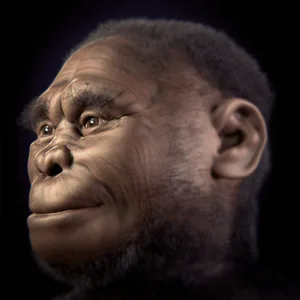 Homo_floresiensis_v_2-0