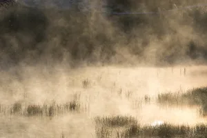 Wetlands Wetlands