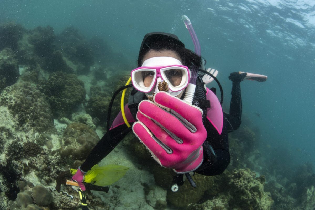 Suchana "Apple" Chavanich holds a piece of coral collected as sample in a reef near Samae San Island, Chonburi, Thailand