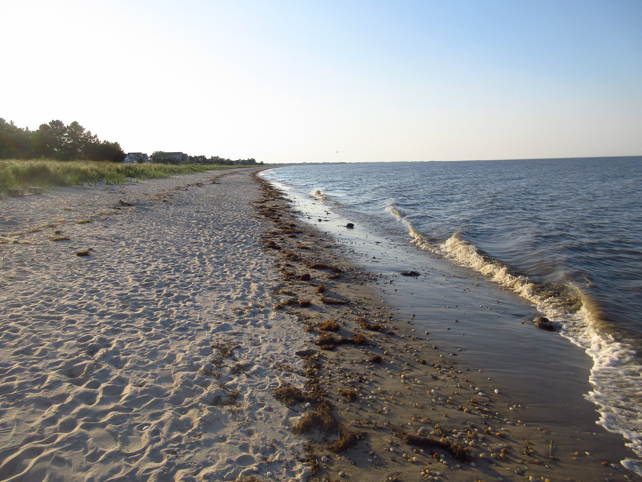 Redbird Reef Contains Retired Subway Cars Off Delaware – Archyde