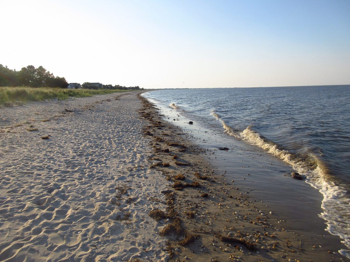 Redbird Reef Contains Retired Subway Cars Off Delaware