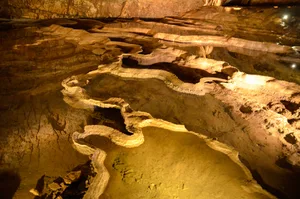 Vjetrenica is the largest cave in Bosnia and Herzegovina, and the most biodiverse cave in the world. Vjetrenica is the largest cave in Bosnia and Herzegovina, and the most biodiverse cave in the world. Credit: Diogo Pereira and Sanja Vrzic