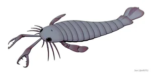 Jaekelopterus_rhenaniae
