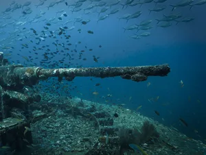 The cannon gun at a military shipwreck Underwater photography from the US Navy military shipwreck Prab in Chumphon marine park