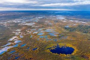Autumn landscape. West Siberian Plain. West Siberian Plain