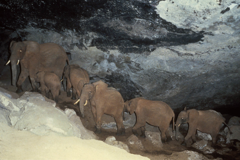 “Once they descend into the cave, they trudge 150m in the pitch black ...
