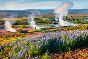 Erupting of the Great Geysir lies in Haukadalur valley on the slopes of Laugarfjall hill. Andrew_Mayovskyy/ Getty Images