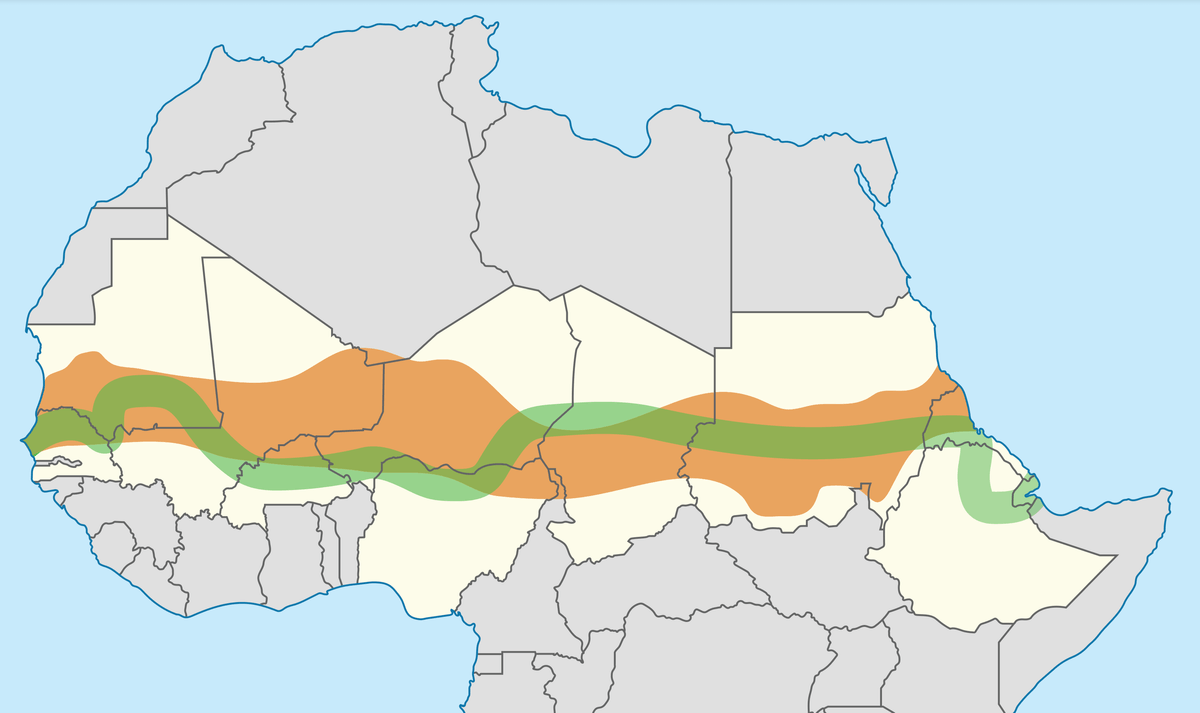 This mysterious 8000km 'wall' stretches across Africa – but it isn't what most people think…