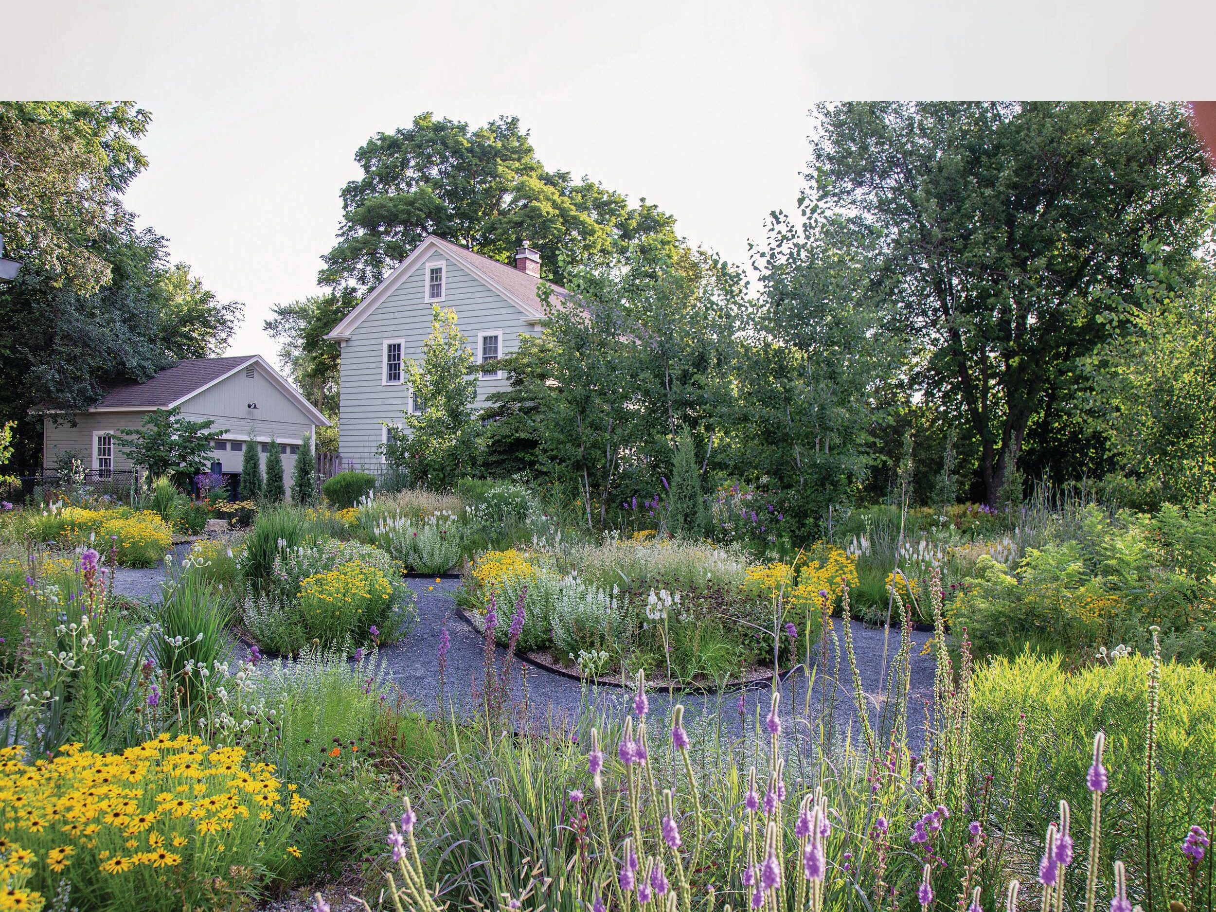 Garden borders and house
