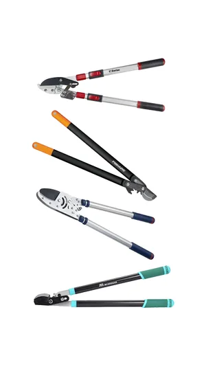 loppers A selection of garden loppers on a white background
