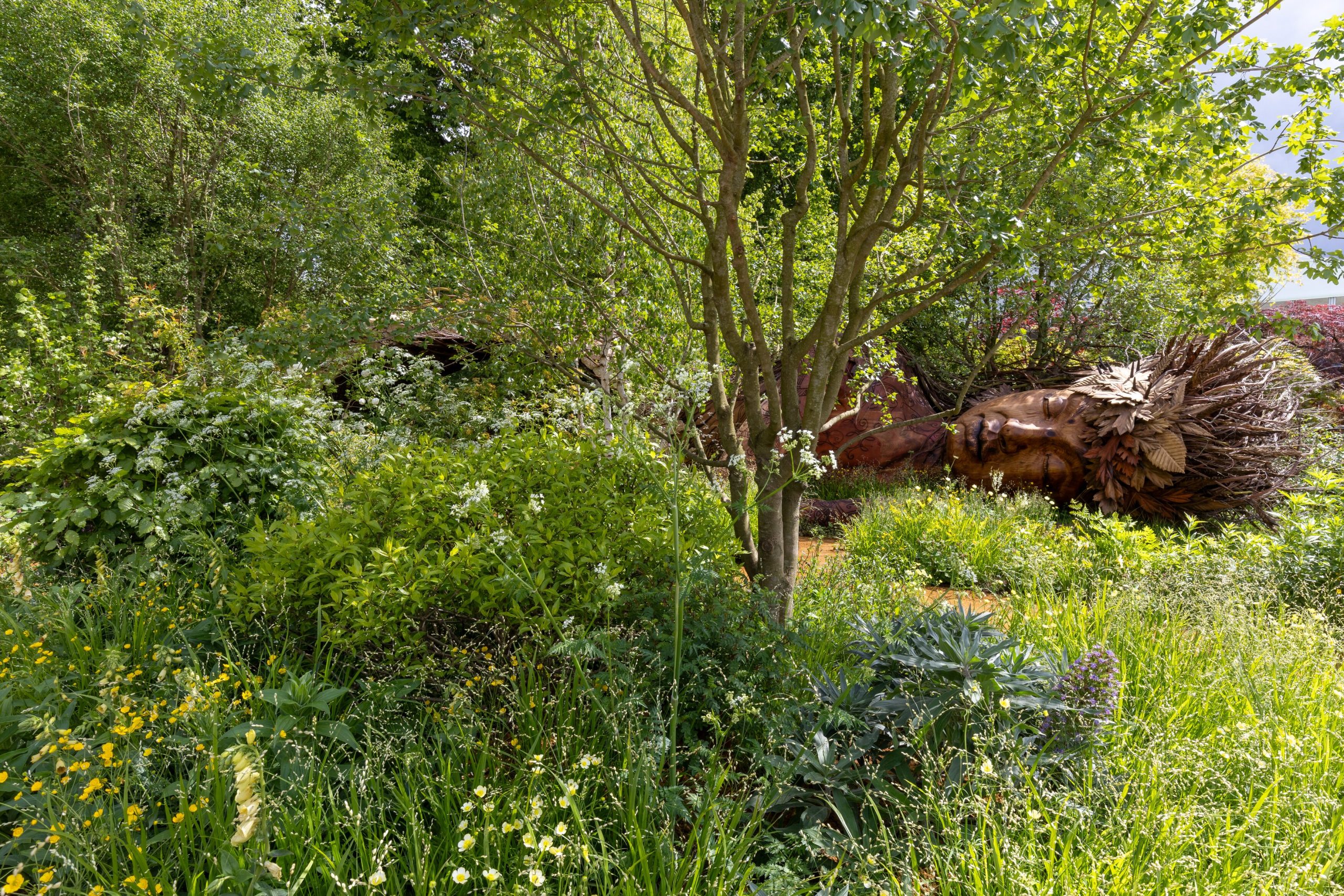 The Campaign to Protect Rural England Garden: On the Edge. Designed by Sarah Eberle. Show Garden. RHS Chelsea Flower Show 2026. ©&nbsp;RHS / Neil Hepworth