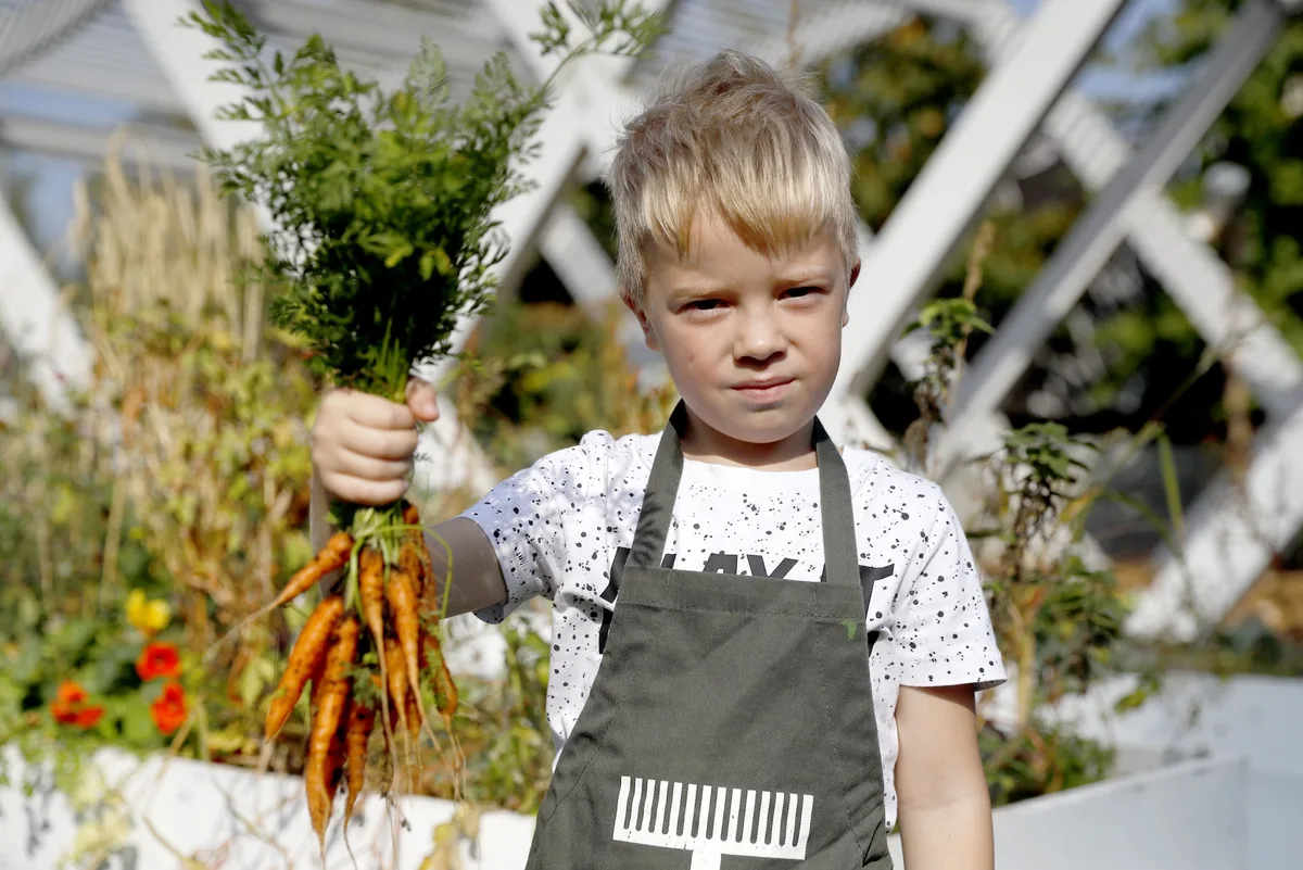 Growing carrots with the kids