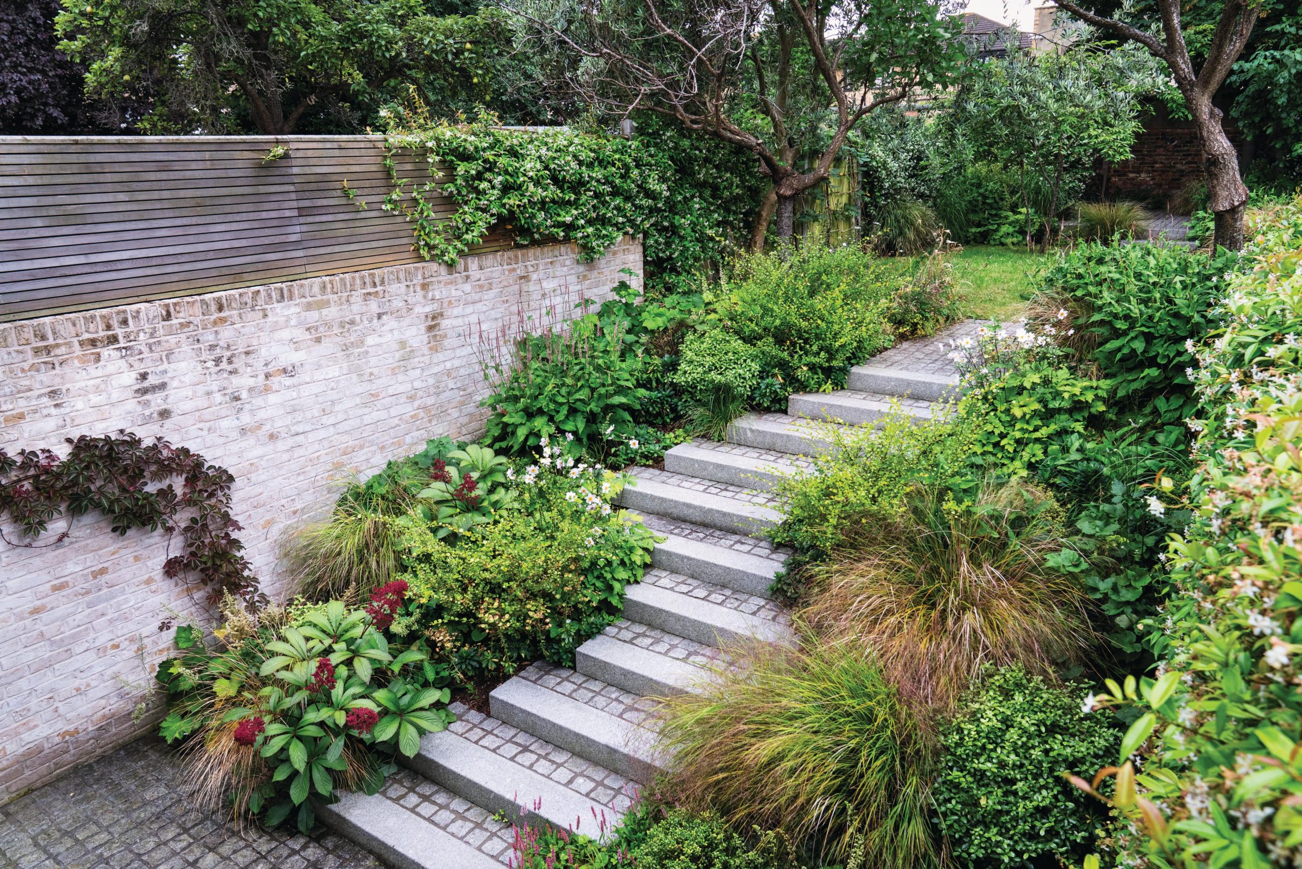 Garden steps and borders