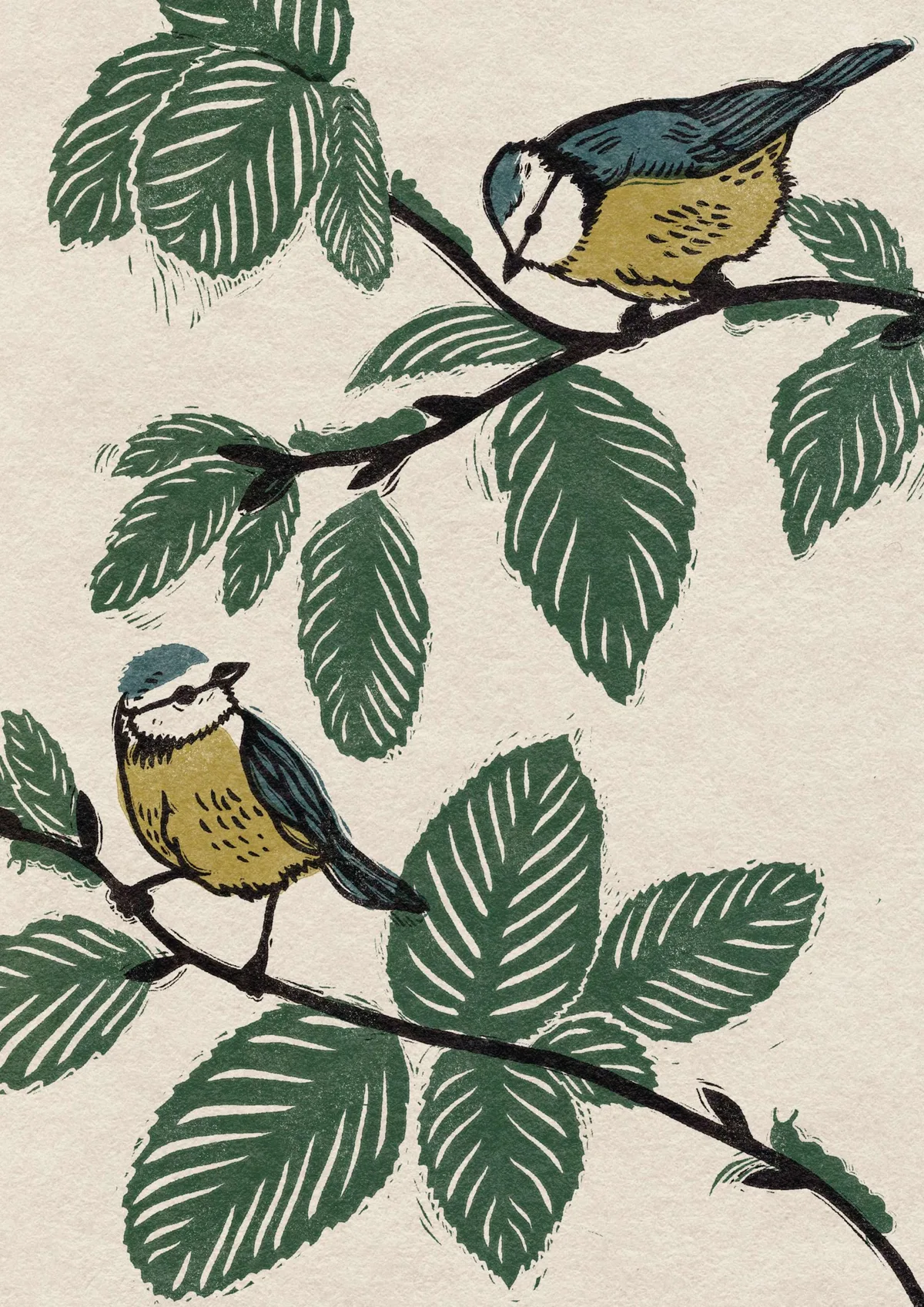 Blue tit garden illustration