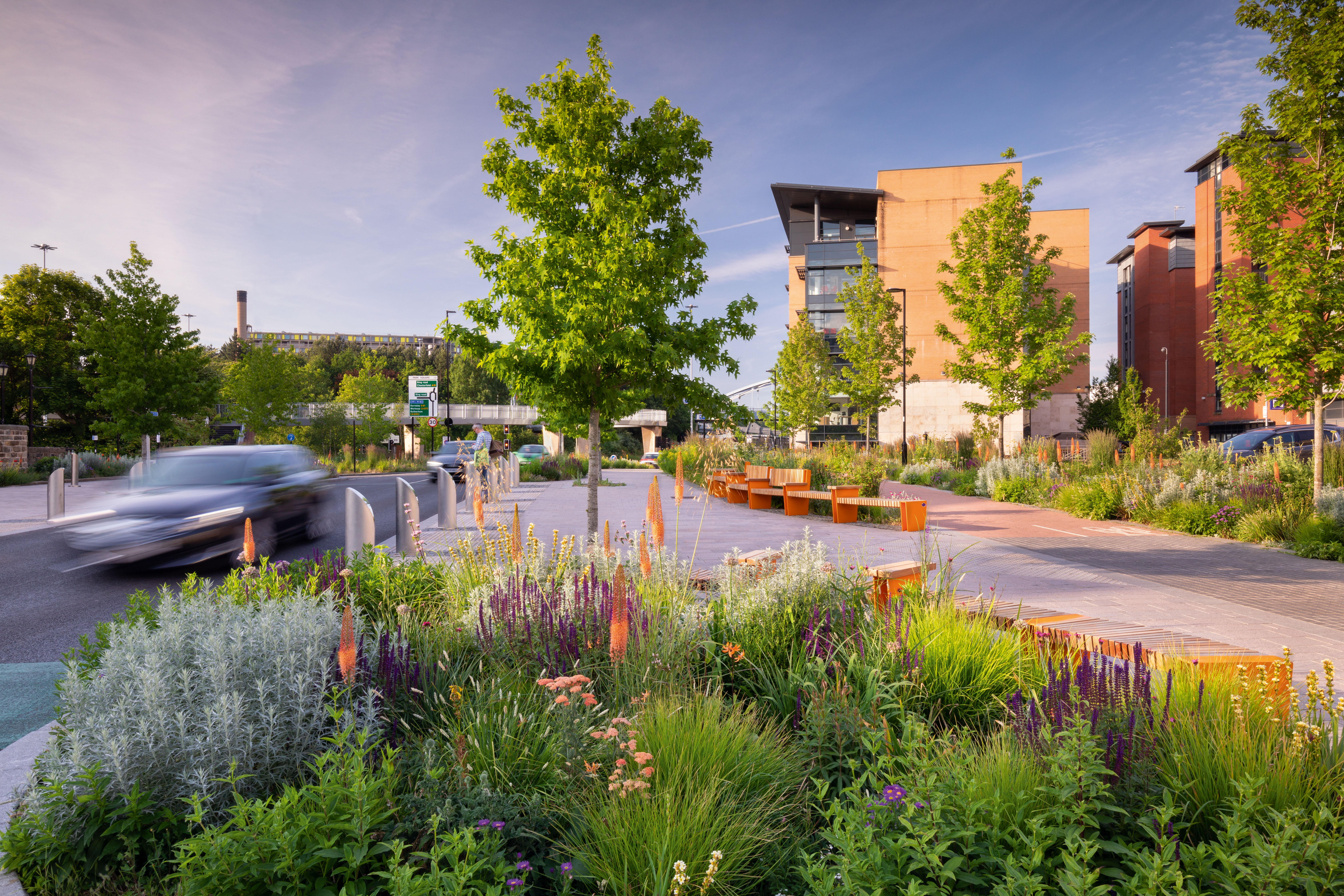 Nigel Dunnett Sheffield garden