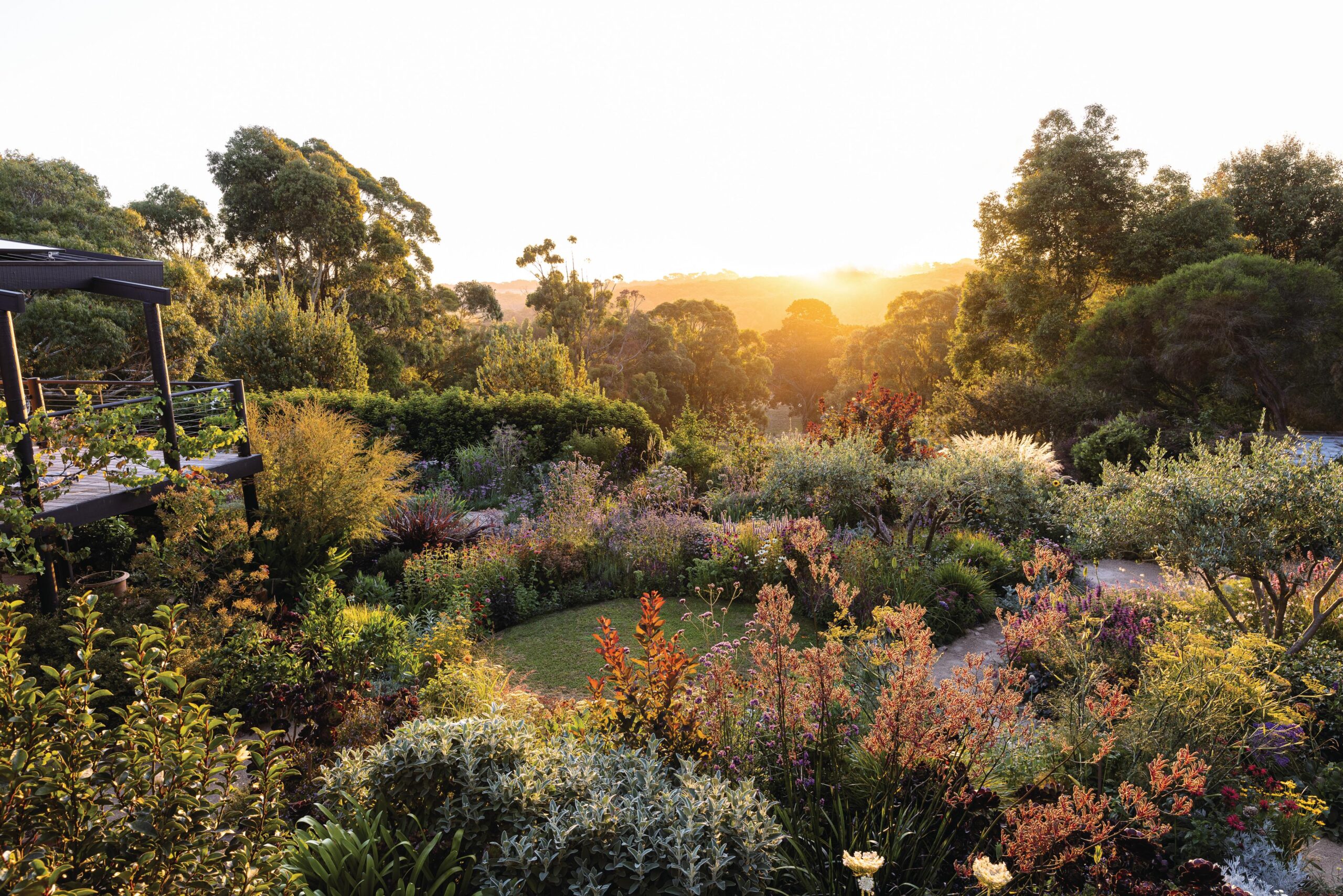Summer garden at sunset