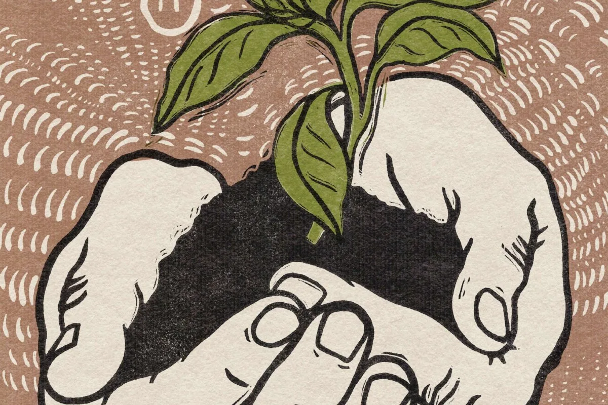 Gardening illustration – hands holding a plant