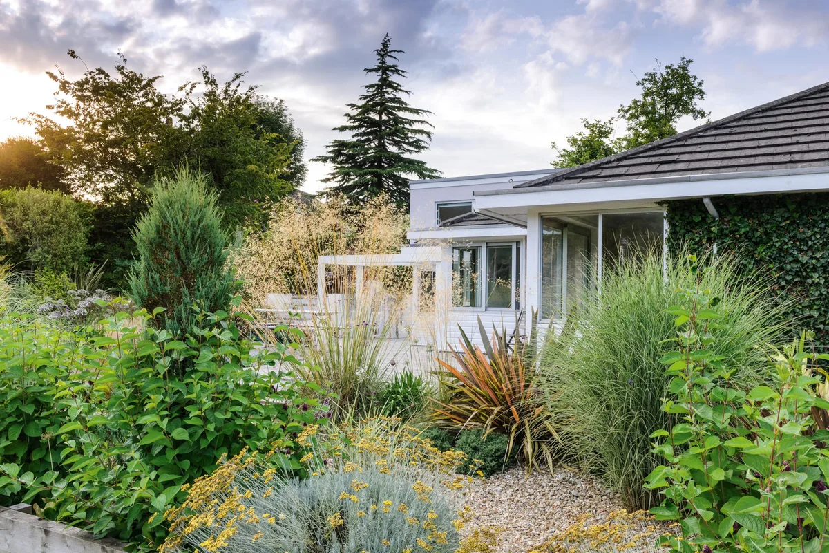 Alice Meacham gravel garden Dorset