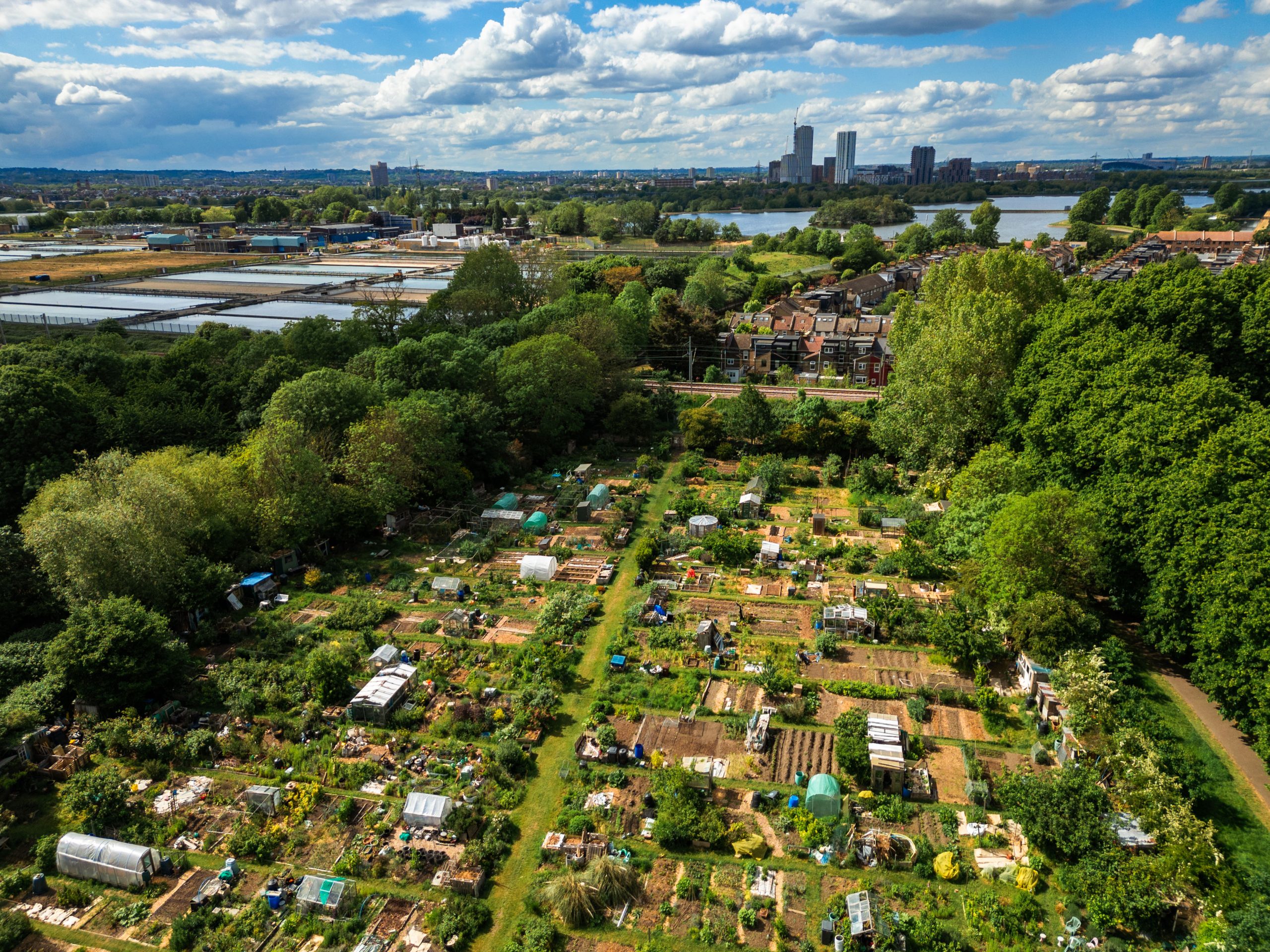 Allotments in London