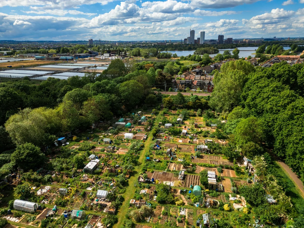 Allotments in London