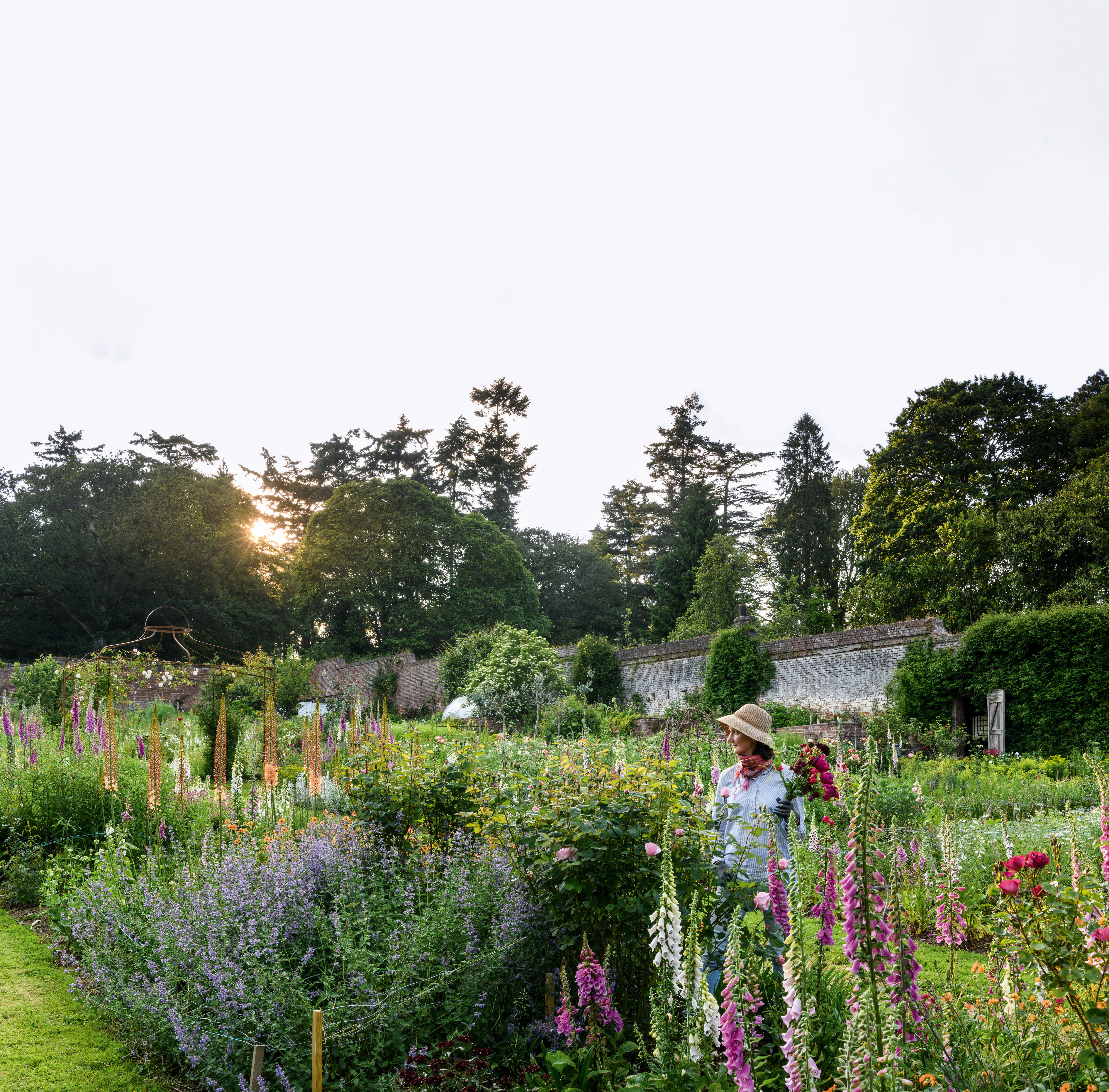 Portraits of Victoria in the Cutting Garden at Stokesay Flowers surrounded by Rosa Wild Rover ('Dichirap'), Digitalis purpurea, Geums, Eremurus, Nepeta and astrantias