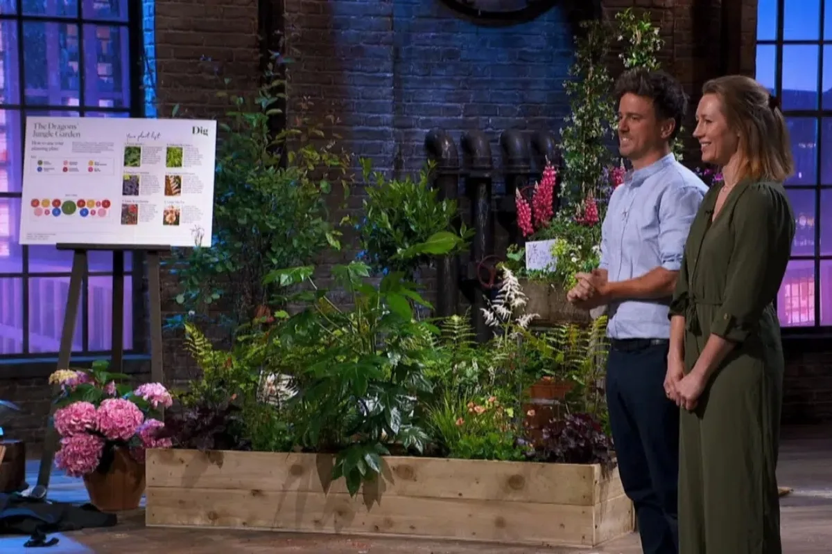 dig-club-dragons-den-gardens-illustrated Dig Club presenting pitch on BBC's Dragon's Den