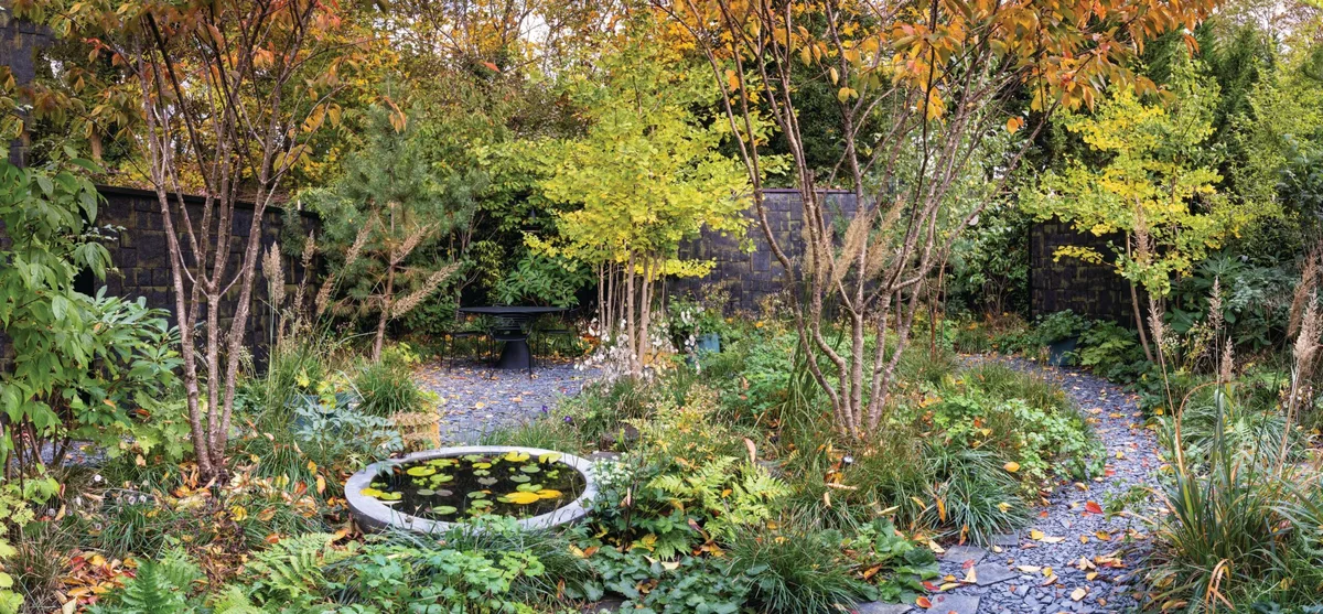 South London garden designed by Stefano Marinaz