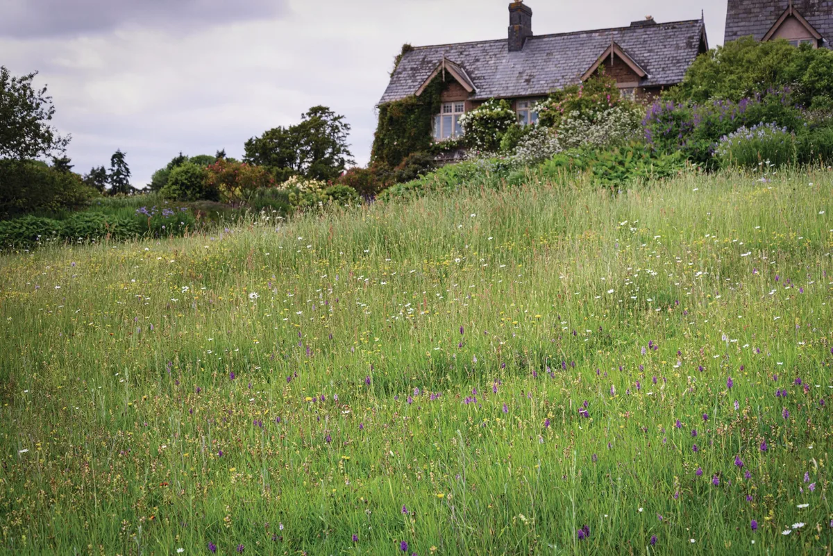 Once just a field and now an orchid-rich meadow, it’s hard to imagine just how challenging it was to clothe this hillside. Designer Tom Stuart-Smith helped Peter to anchor the house within a framework of ornamental plantings.