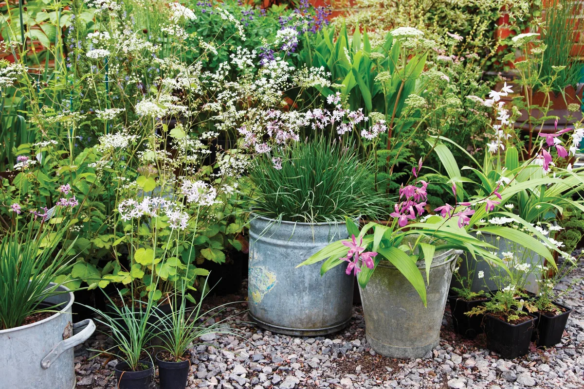 Gardening in lockdown