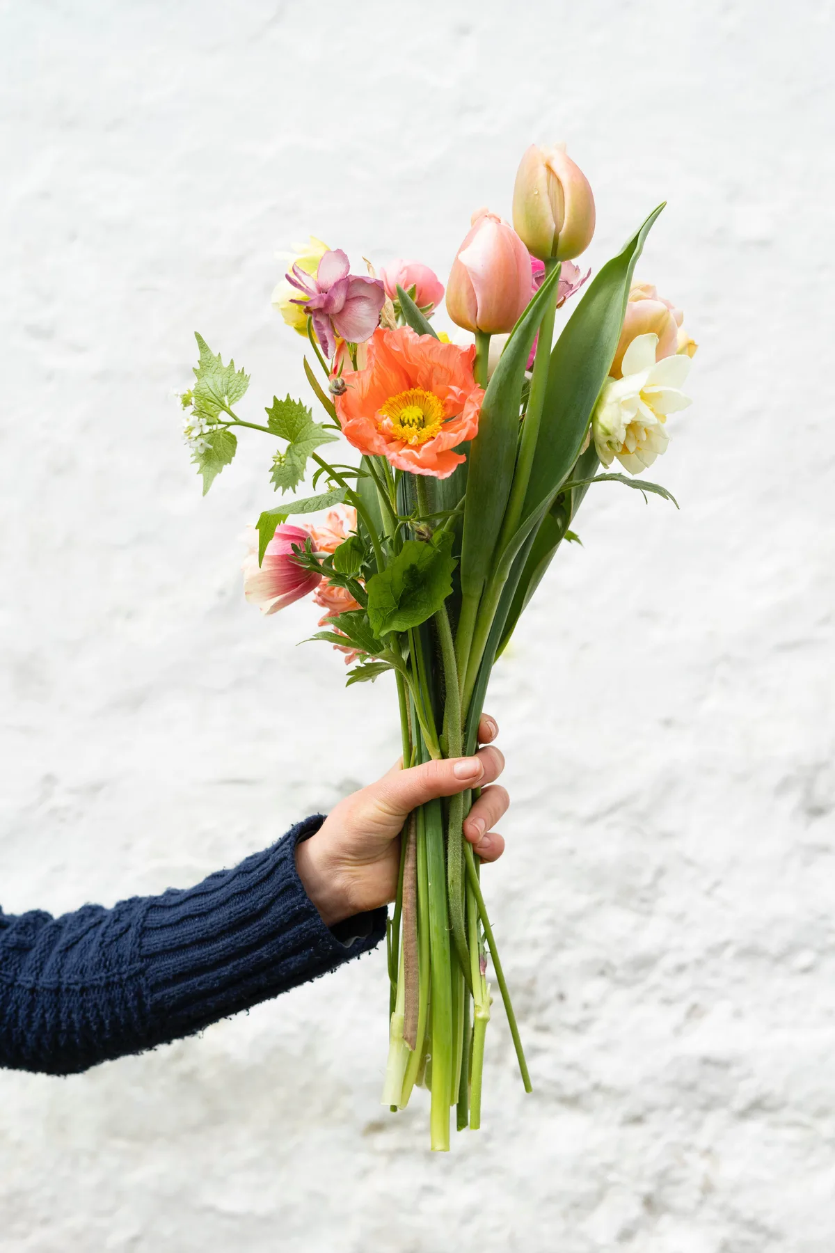 Cut Flowers © Zoe Schaeffer / unsplash