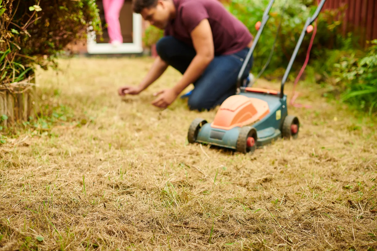 Dry gardens and drought in the UK