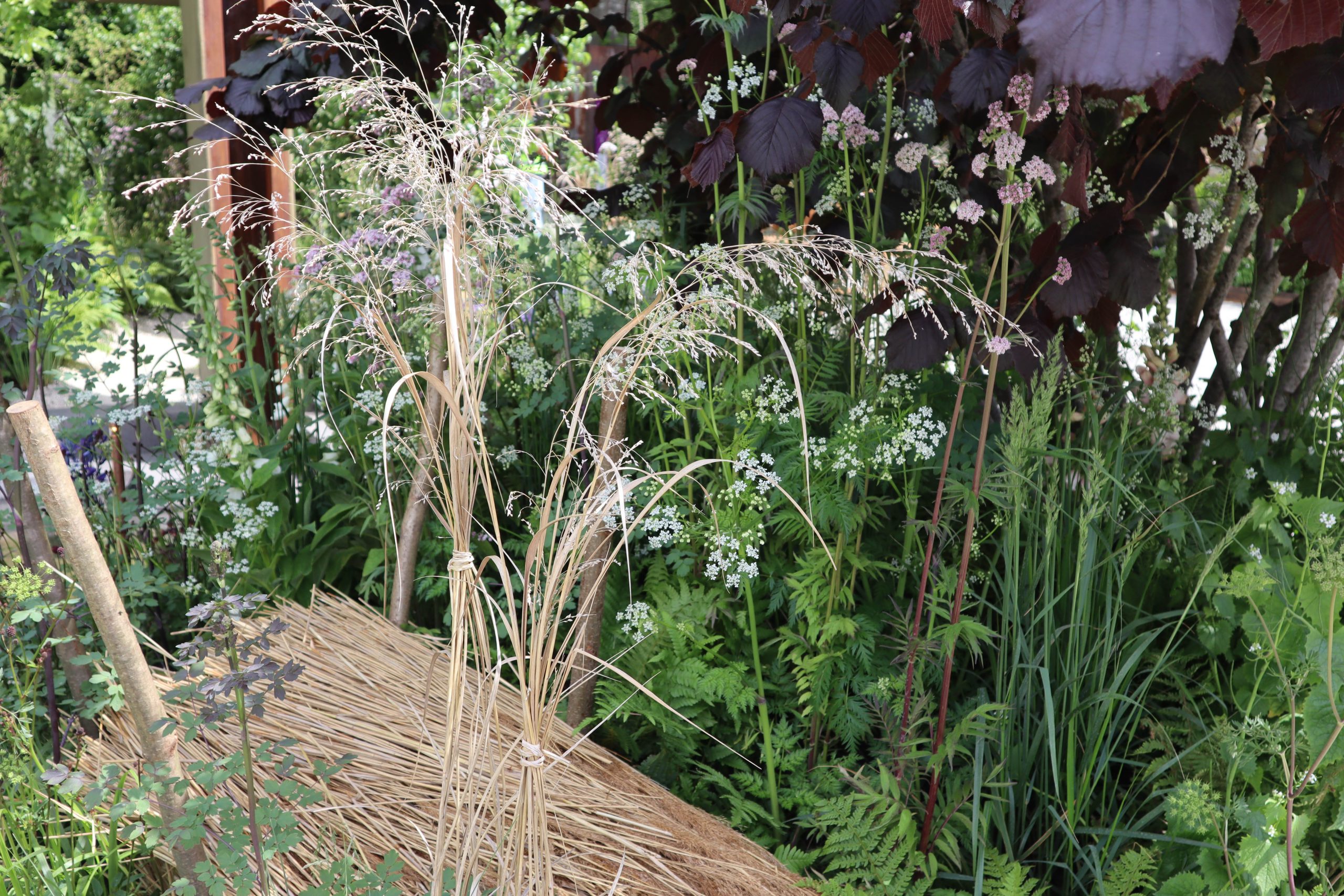 Bundle of grasses and tied grasses in the Killik & Co garden
