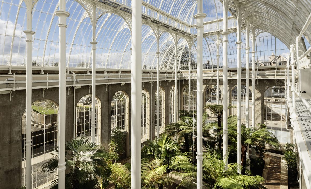 Historic Palm Houses in Edinburgh reopen today after years of closure